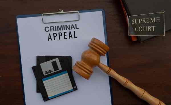 Criminal Appeal Attorneys