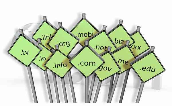 Domain Name Registration