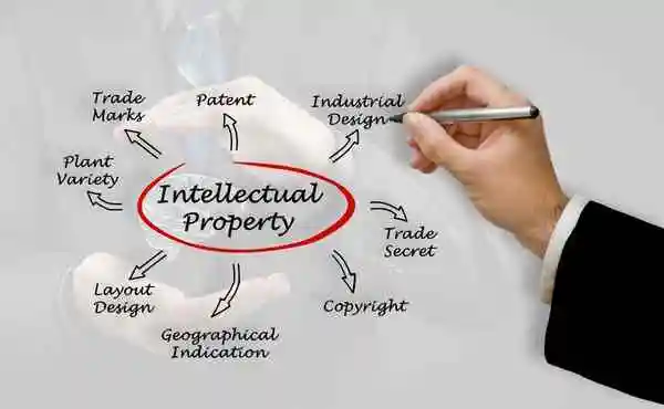 Intellectual Property