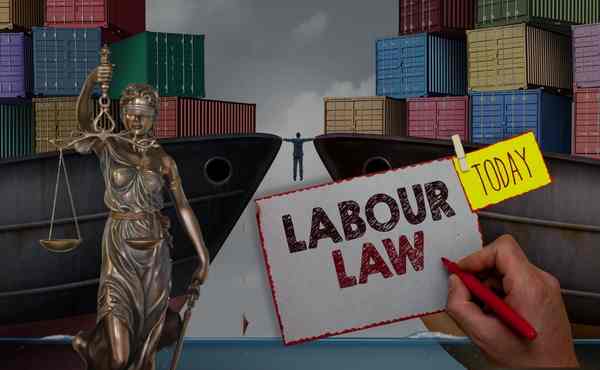 Trade Union and Labour Law
