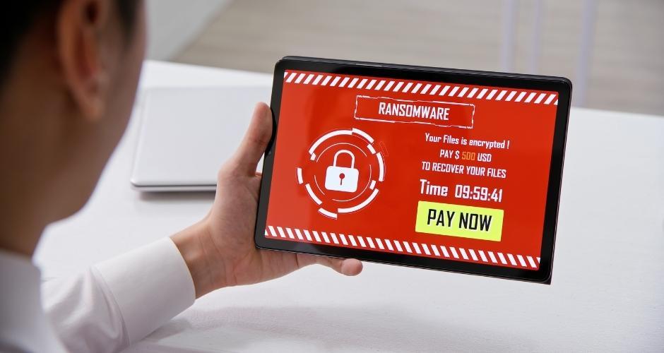 Privacy policy and data handling practices at A.A. Dewan & Co.