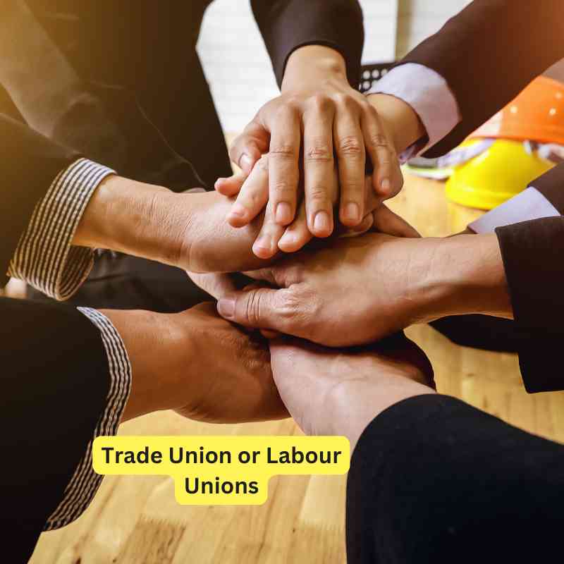 Trade Union or Labour Unions, Law Firm in Pakistan